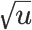 nosCours/12ème sm/maths/dérivée/chart (19).png